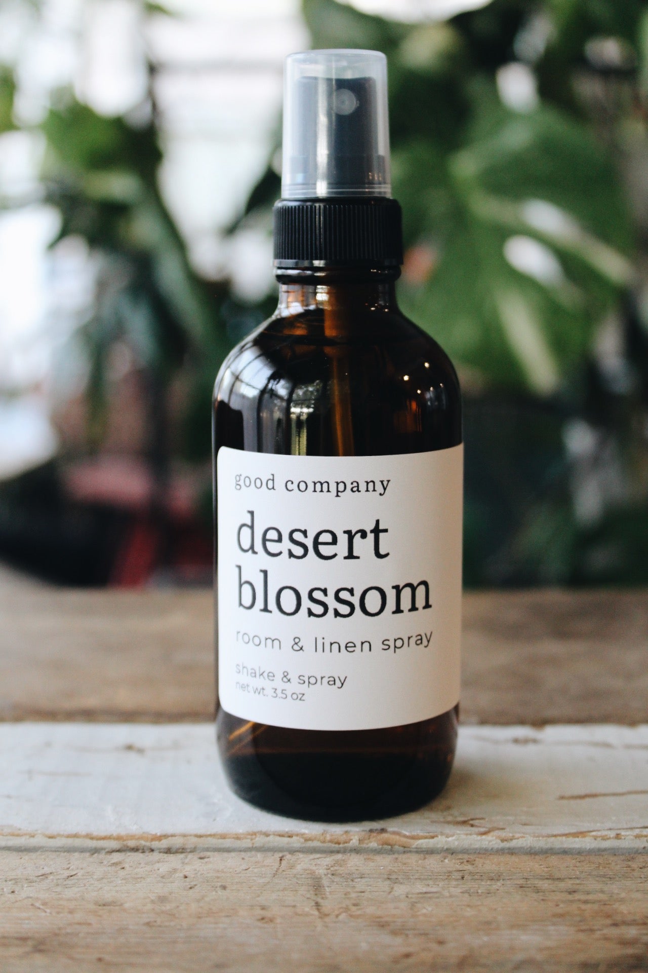 Desert Blossom